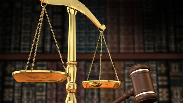 Drumul lung pentru a ajunge avocat