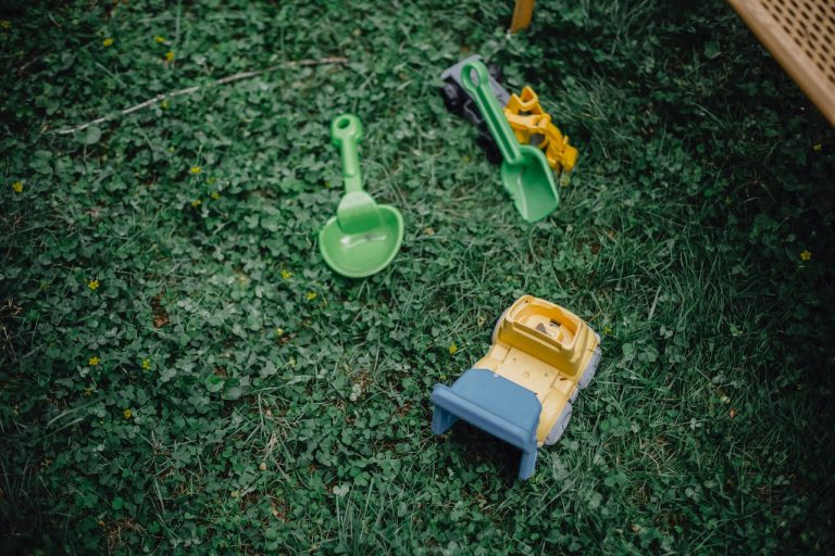 Cum să alegi plantele, florile și arbuștii potriviți pentru amenajările exterioare