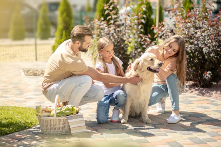 Cei mai potriviți câini pentru familia ta