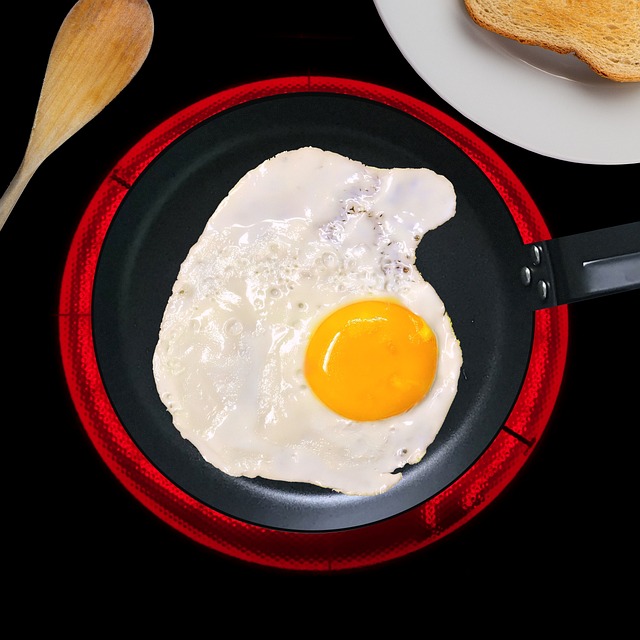 Tehnologia culinară: plita cu Inducție care revoluționează bucătăria