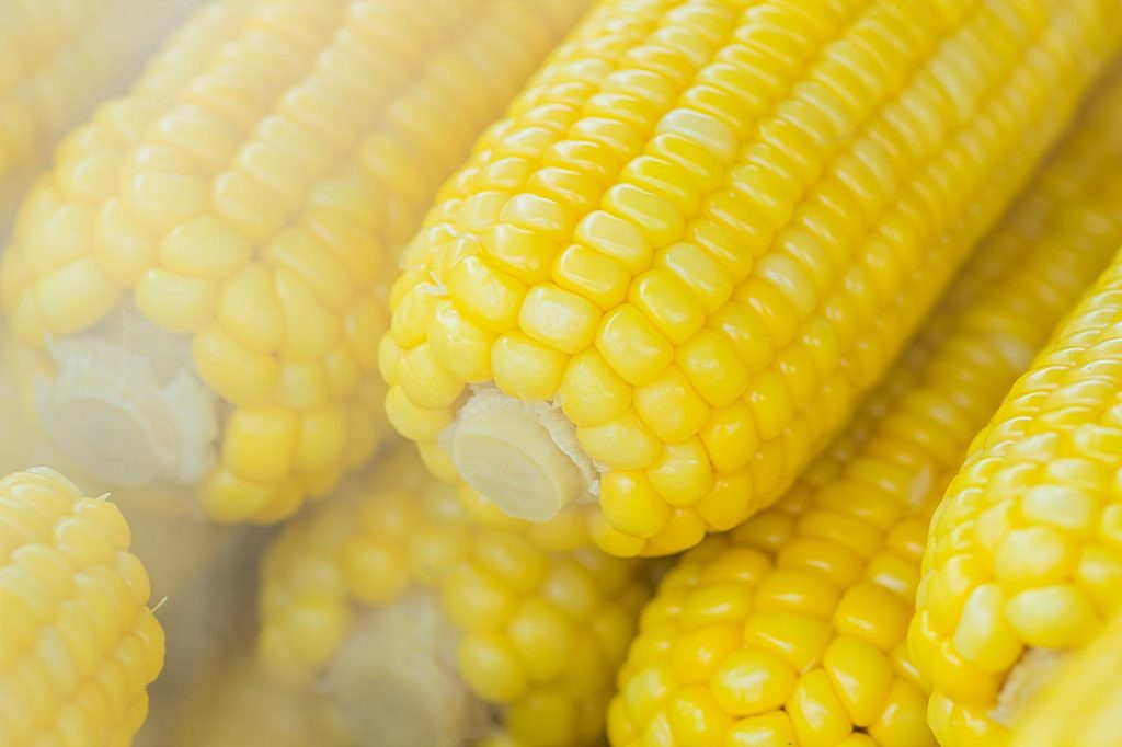 Beneficiile consumul de porumb: Nutriție și rețete