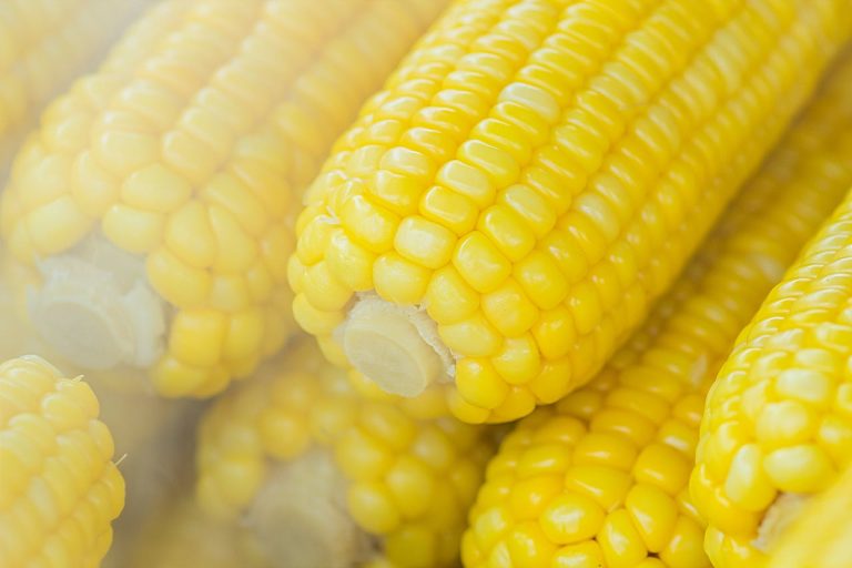 Beneficiile consumul de porumb: Nutriție și rețete