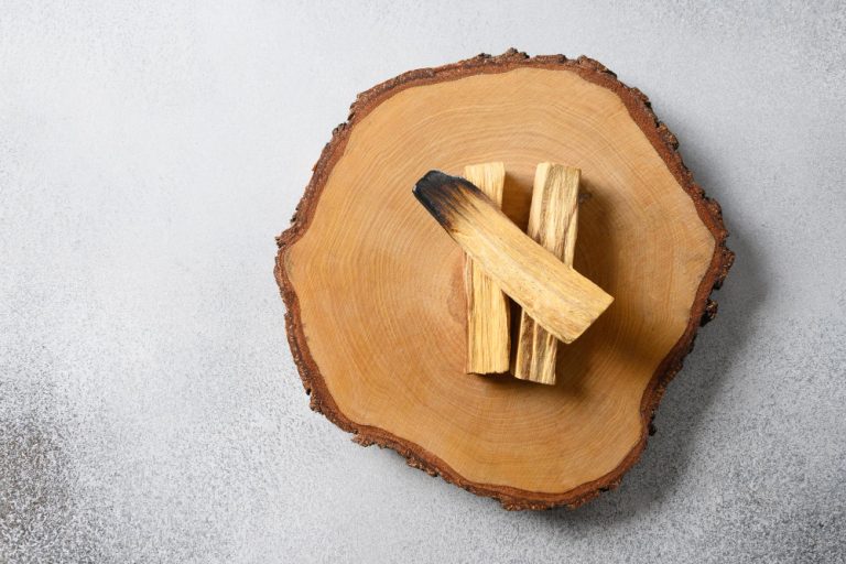 Ce este lemnul palo santo și cum poate fi utilizat?