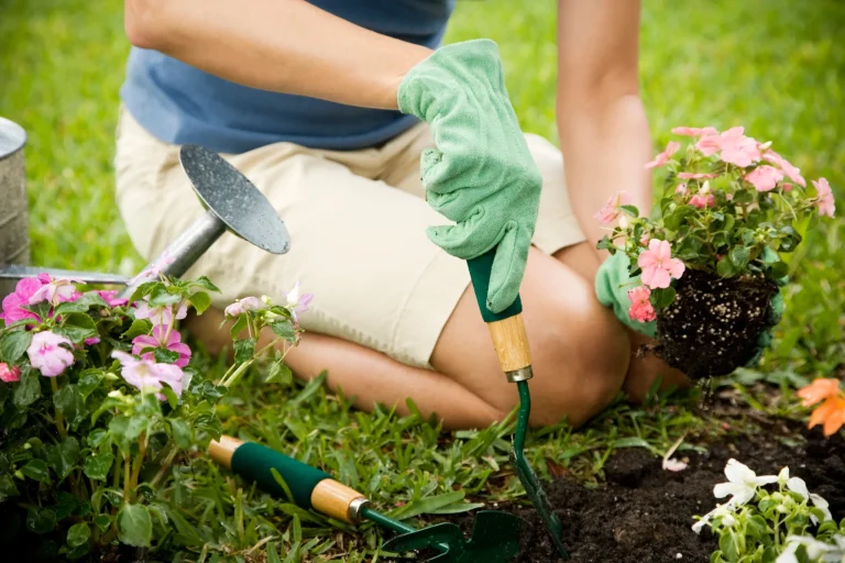 Pământ de flori și pământ pentru răsaduri, fundația plantelor sănătoase