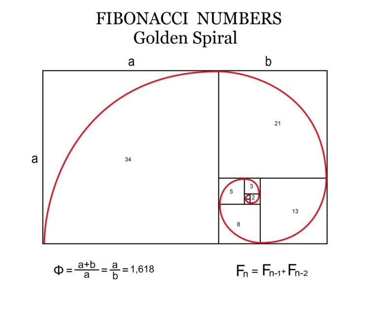 Șirul lui Fibonacci: o călătorie fascinantă prin numere și natură