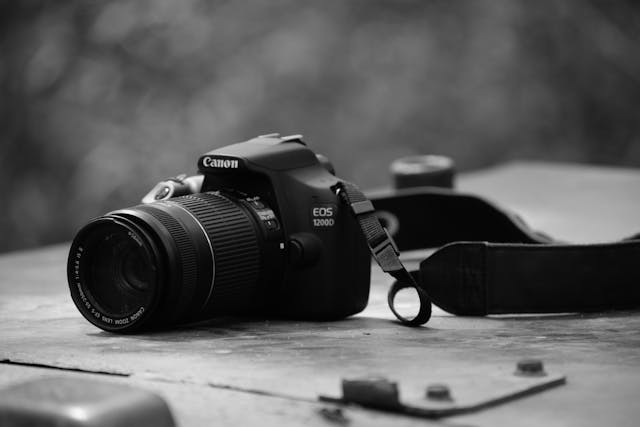 Obiectivul ideal: cum îți transformi aparatul foto într-o extensie a viziunii tale