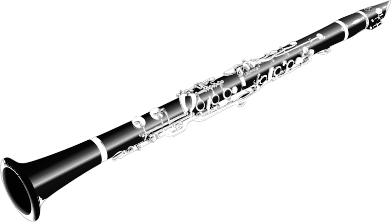 Cum înveți să cânți la clarinet acasă