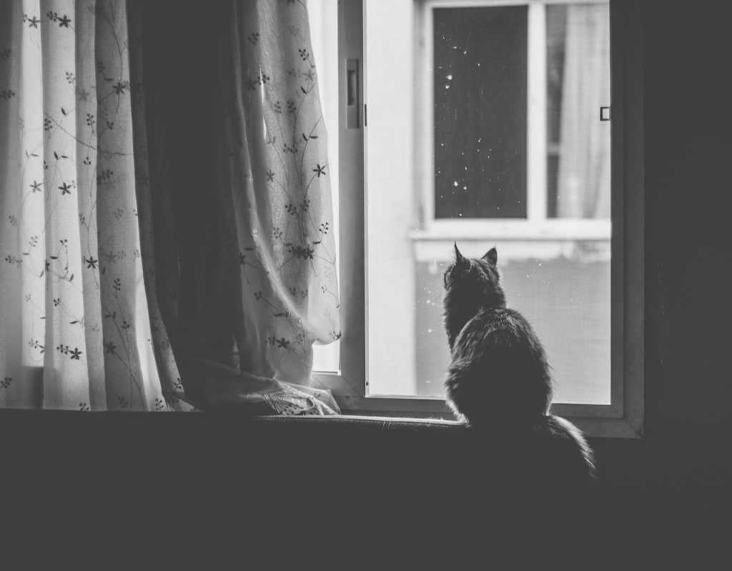 Ferestre care pierd căldură