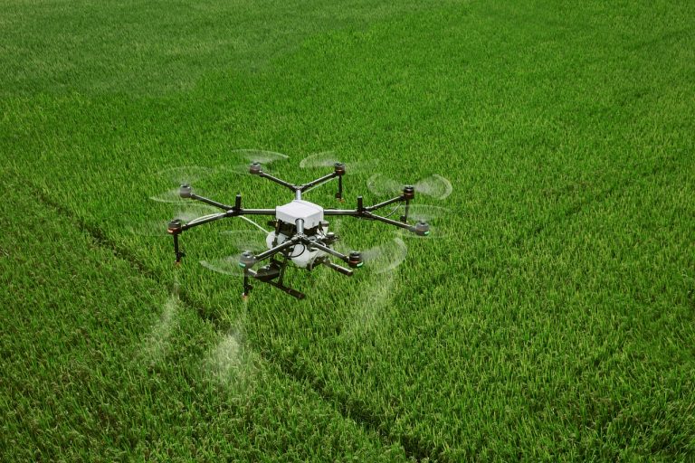 Inteligența artificială în agricultură: exemple actuale