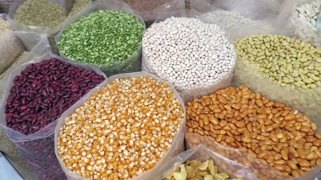 semințele de legume pentru grădină