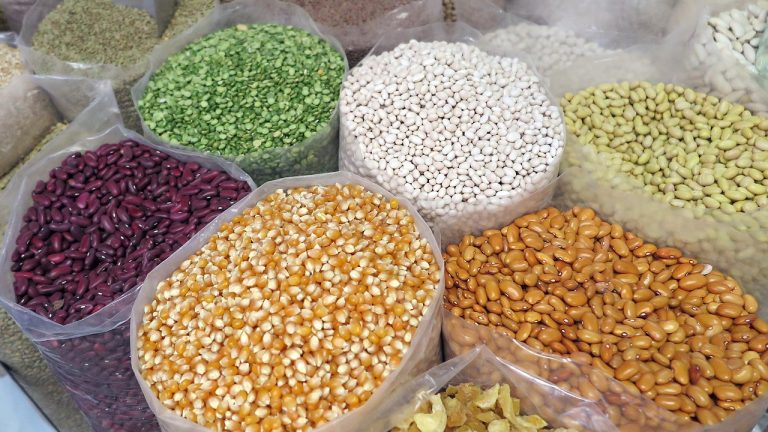 Cum alegi semințele de legume pentru grădină